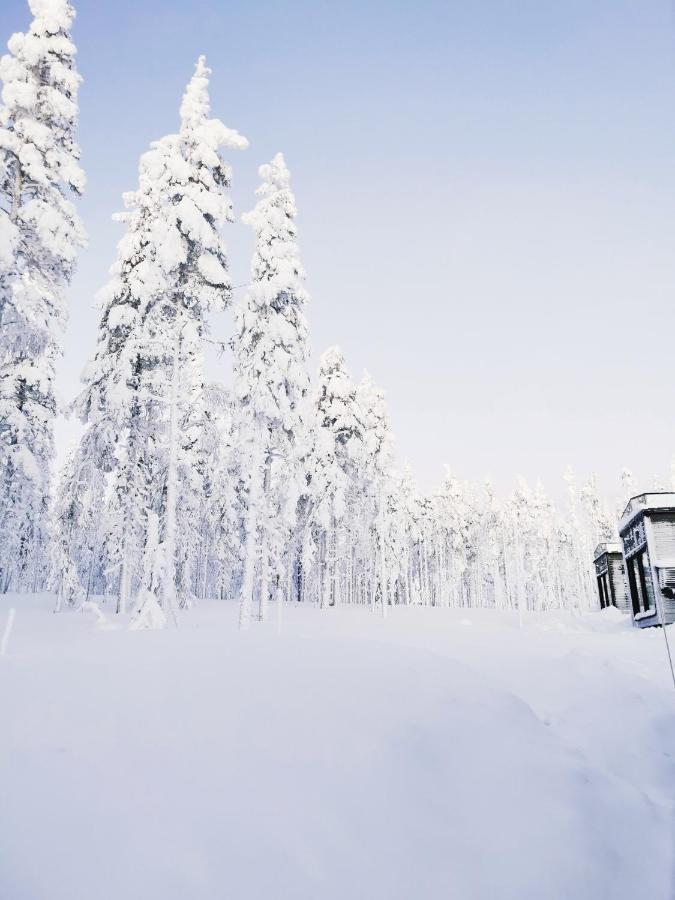 Vila Levi Sky Igloo Exteriér fotografie