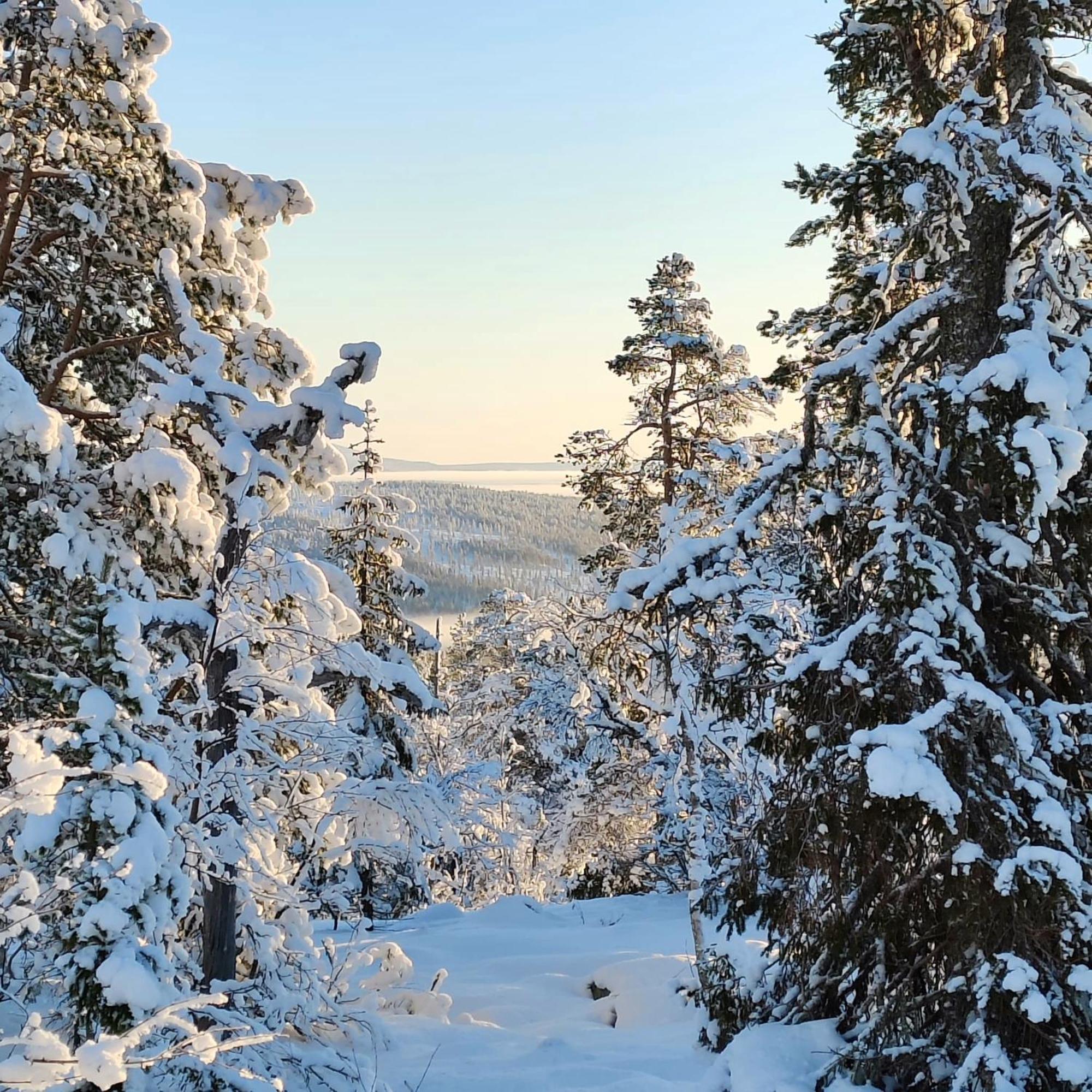 Vila Levi Sky Igloo Exteriér fotografie